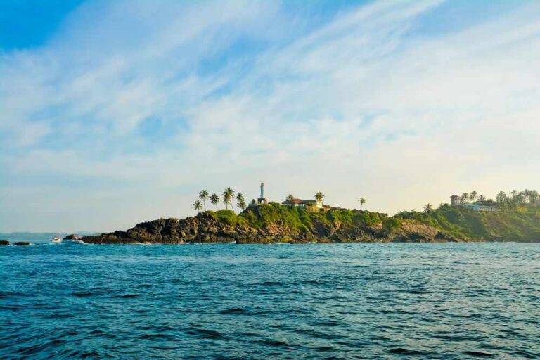 things to do in mirissa