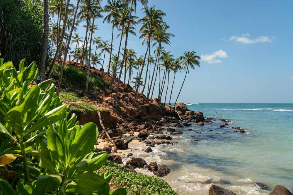 mirissa beach sri lanka