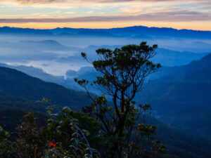 Sri Pada: Inspiring Sri Lanka Pilgrimage Tours