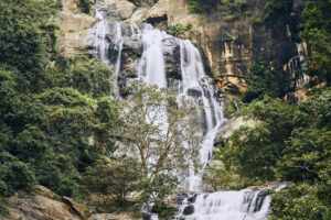 waterfall middle pure nature 1
