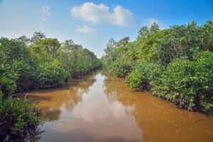 panama lagoon in Sri Lanka Safari Tours