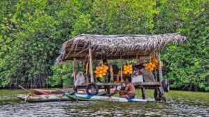 Sri Lanka bespoke cultural tours