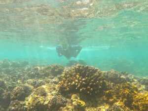 Sri Lanka sustainable tours: coral reefs