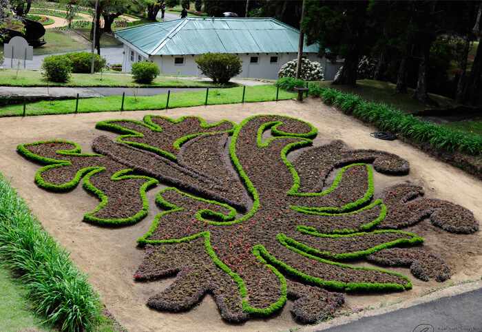 Hakgala Botanic Gardens