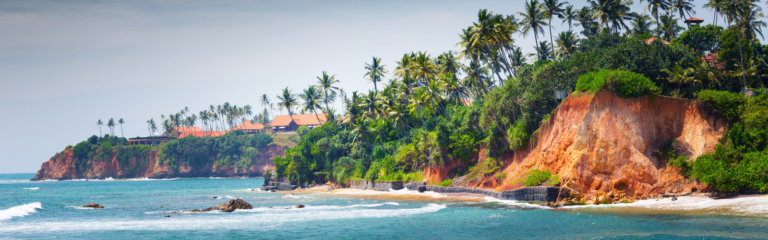 Coast with palm trees at sunny day near the town of Weligama, Sri Lanka