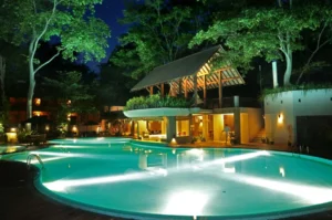 Sri Lanka bespoke tours in 2024