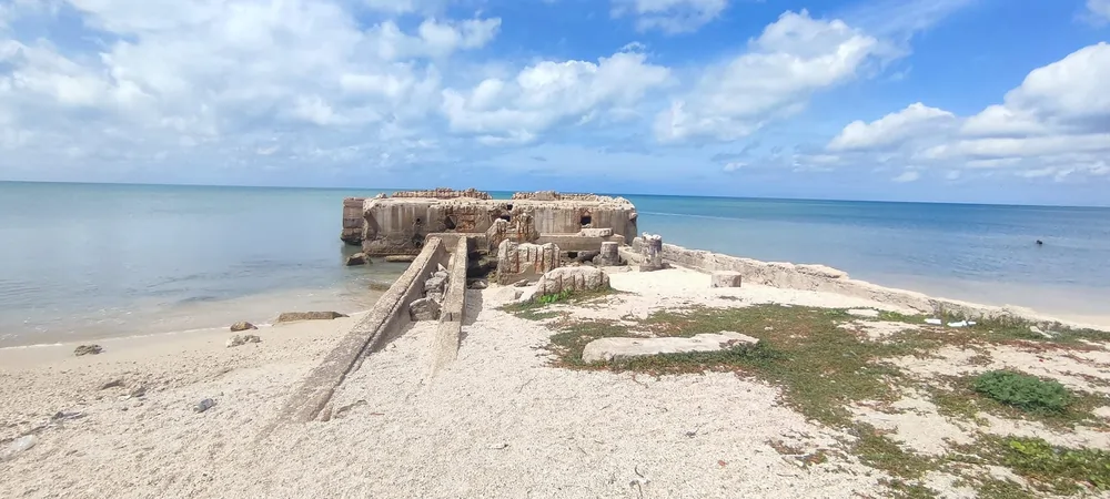 Point Pedro heritage