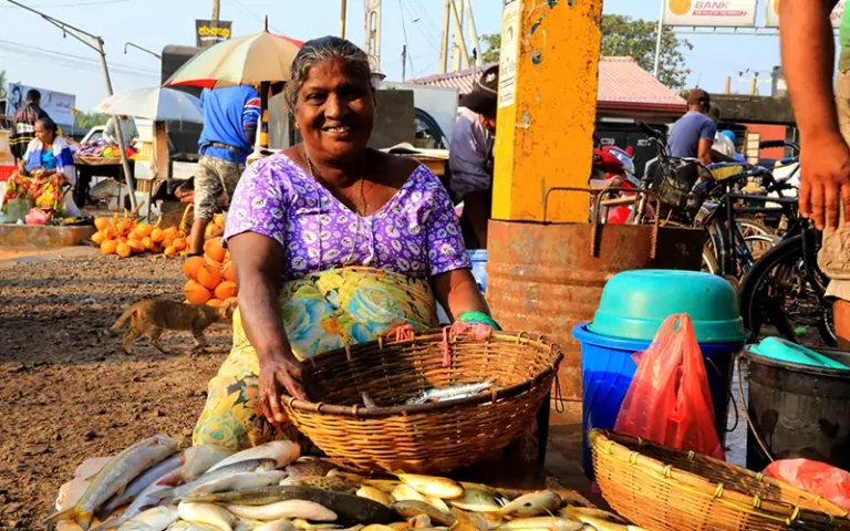 negombo-fish-market