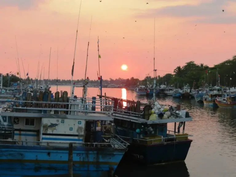 Negombo Fishery Harbour