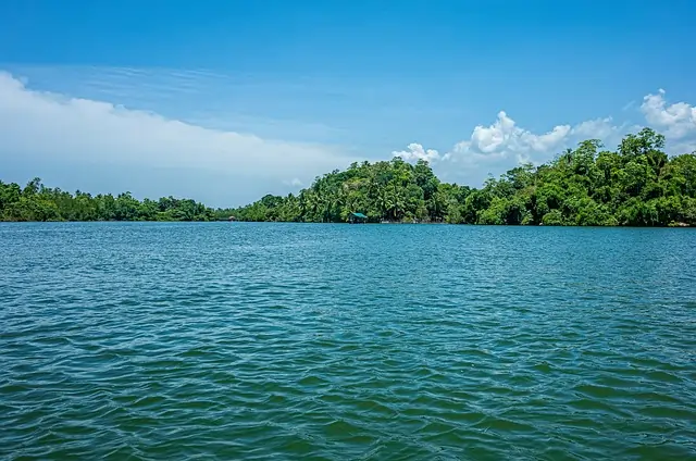 blue 4918068 640