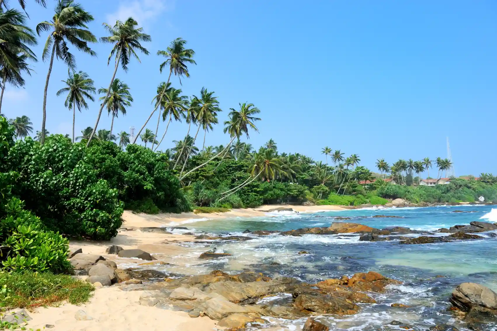 tropical beach with palm sri lanka