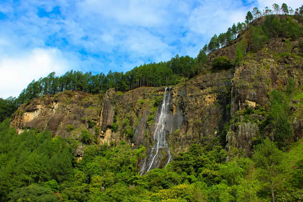 Bambarakanda is the tallest waterfall in Sri Lanka.