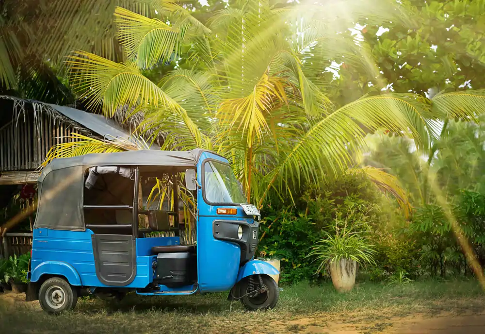 blue tuktuk palm trees country r 1
