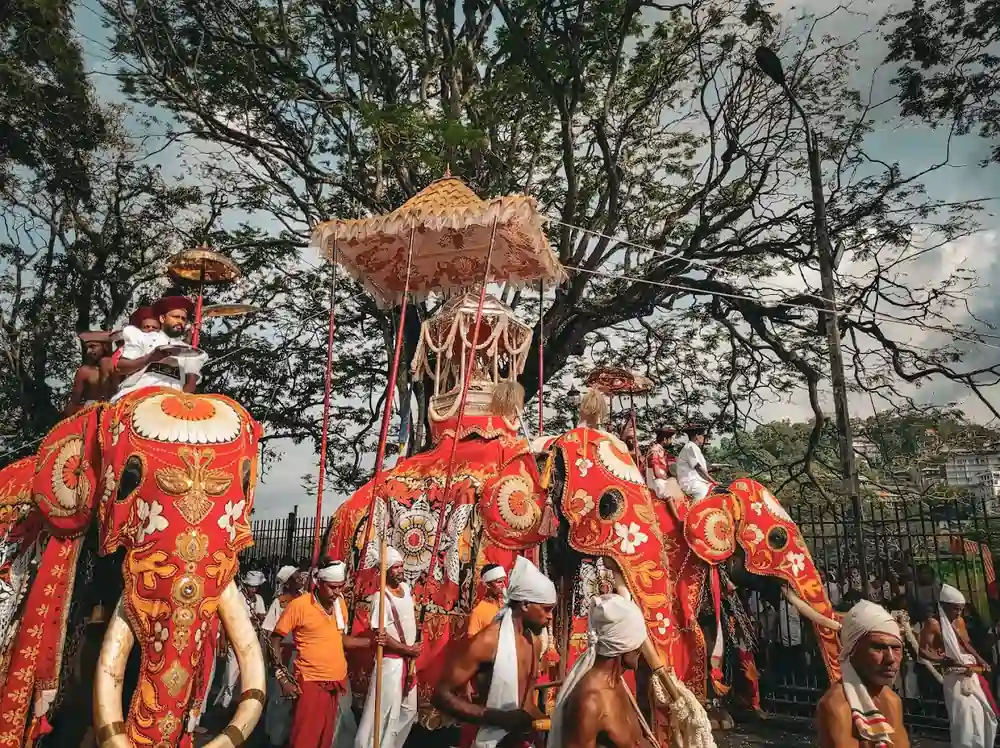 Festival holiday in Sri Lanka is vibrant.
