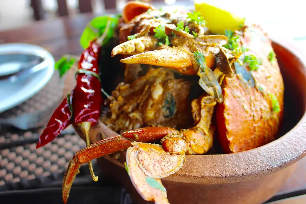 The authentic Jaffna crab curry