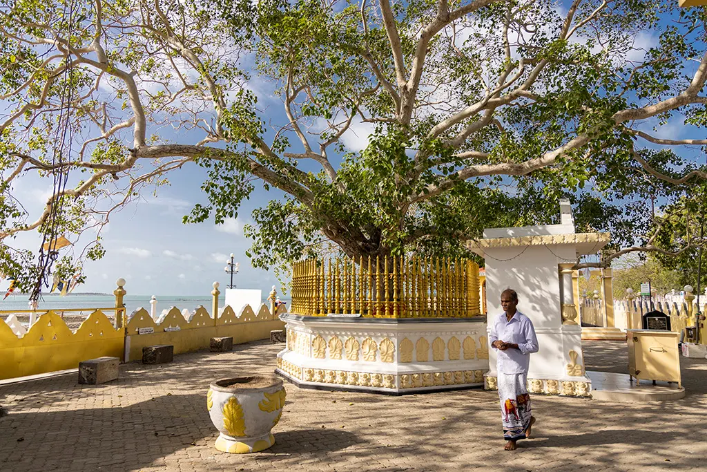 Nagadeepa Purana Viharaya, Jaffna Sri Lanka