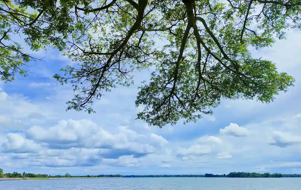 damith shanelka q8UznvHQ7n4 unsplash