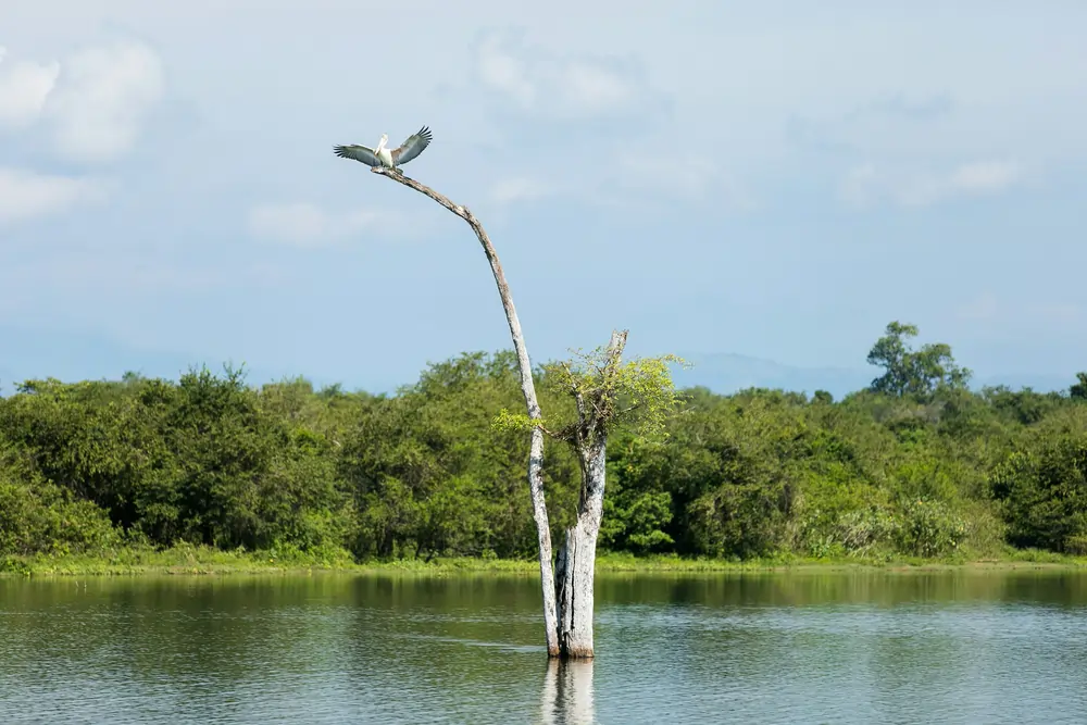 egle sidaraviciute Q7etzzHYzoc unsplash