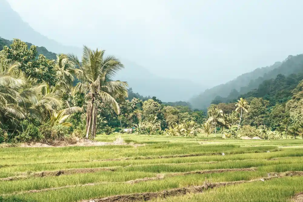 filiz elaerts gc0 jsOgFk4 unsplash