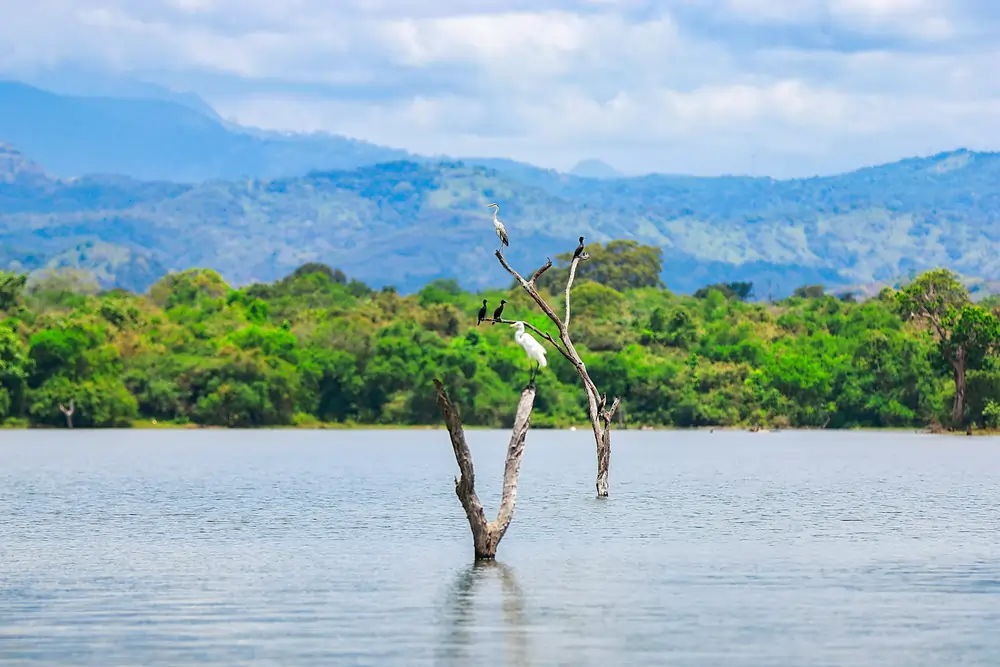 shamika nayanajith 87MgLUxNy8U unsplash