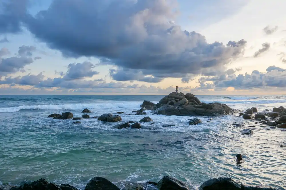 stock birken ZMDyv8hjxSU unsplash