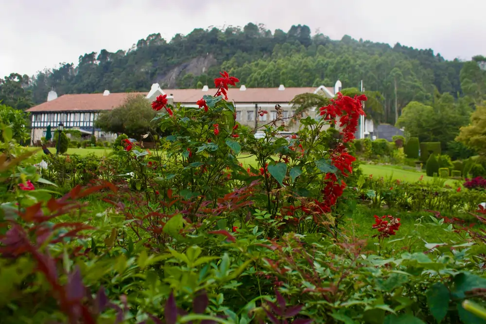 uravrgphotographer CUtp0OVGKJQ unsplash