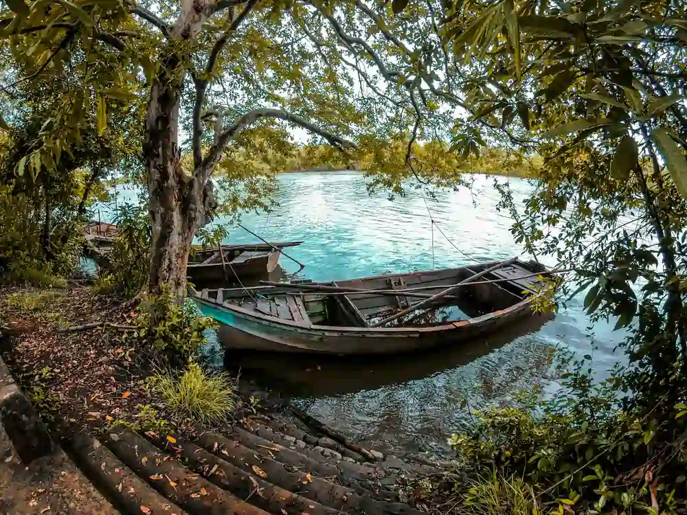 eshan malaviarachchi Mmy9z0LMxVM unsplash