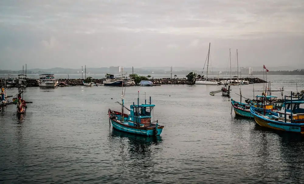 pexels artz room 740726528 35667401