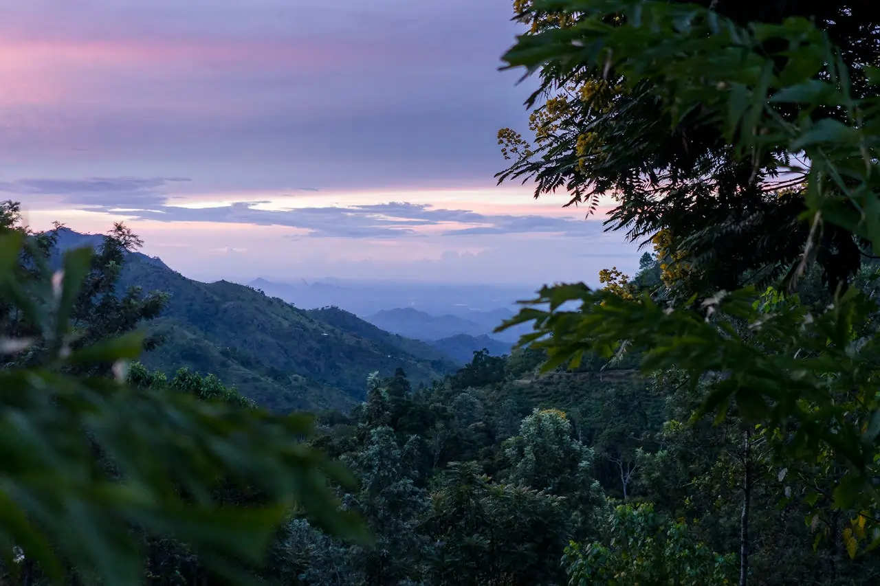 pexels linda gschwentner 154780054 10913652