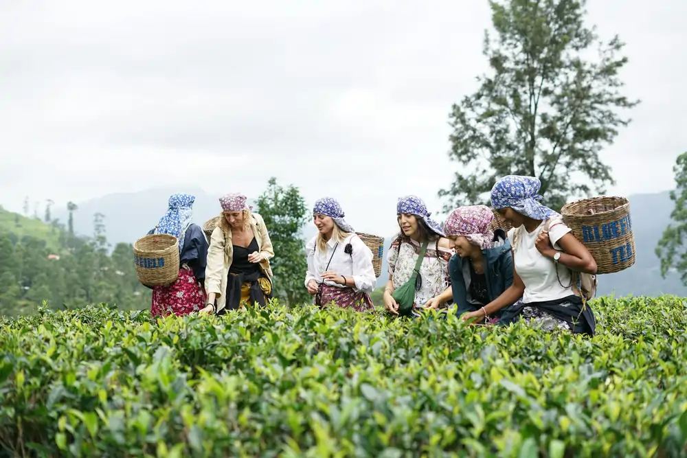 praveen maleesha Qjbu8uEnyeo unsplash