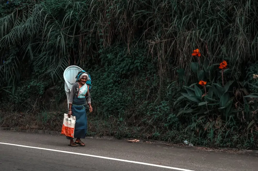 pexels girlvsglobe86 300284270 29358084