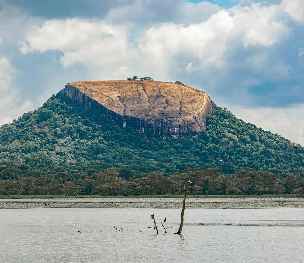 pexels srkportraits 10710559 1