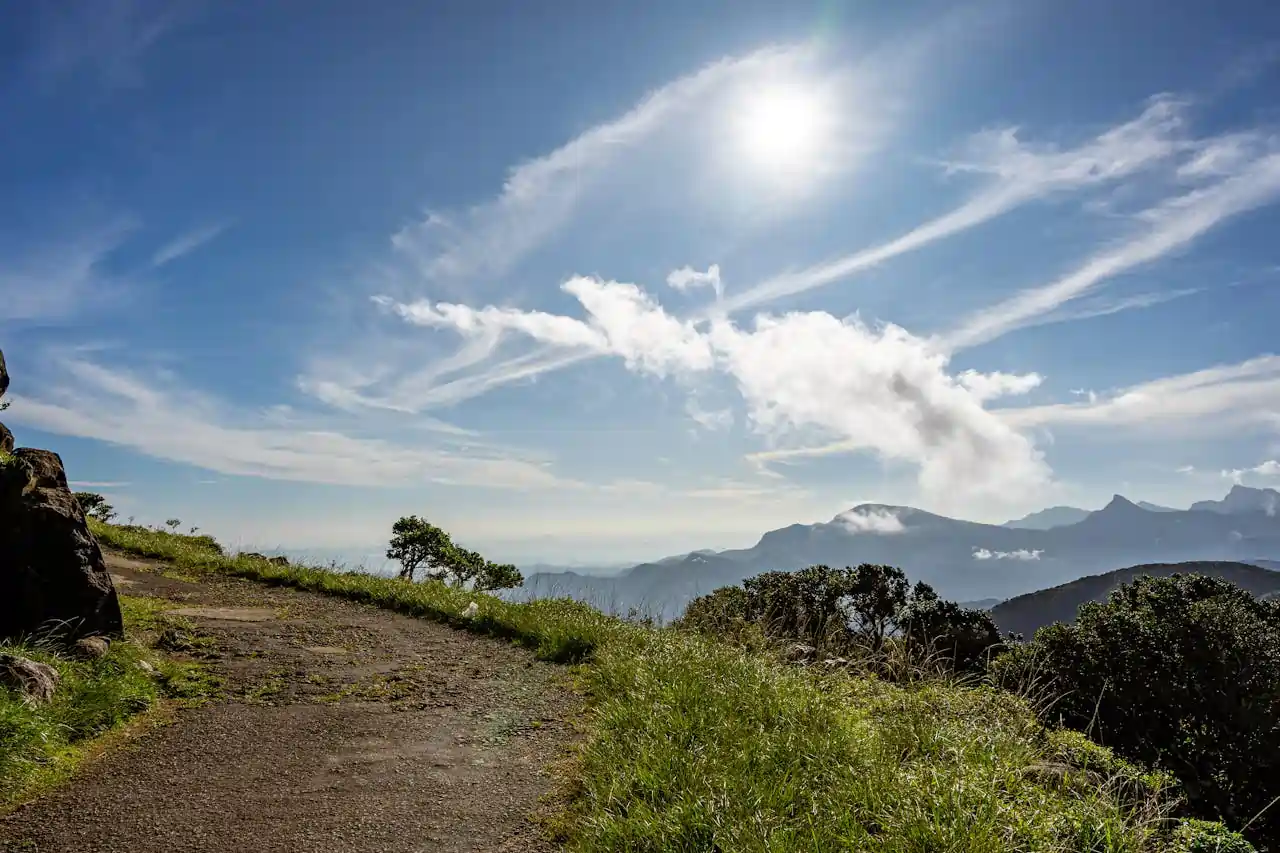 pexels thilina alagiyawanna 3266092 30945853