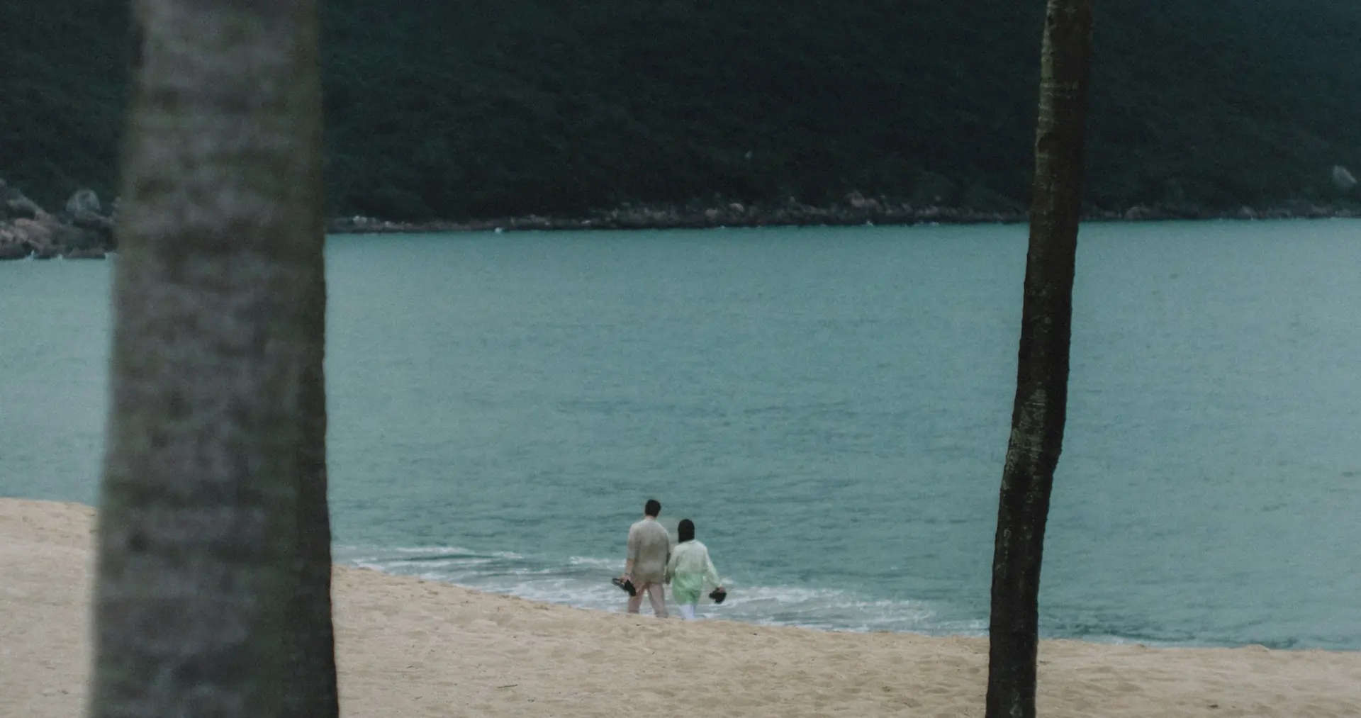 hoi an and da nang photographer JqceZmkcknY unsplash