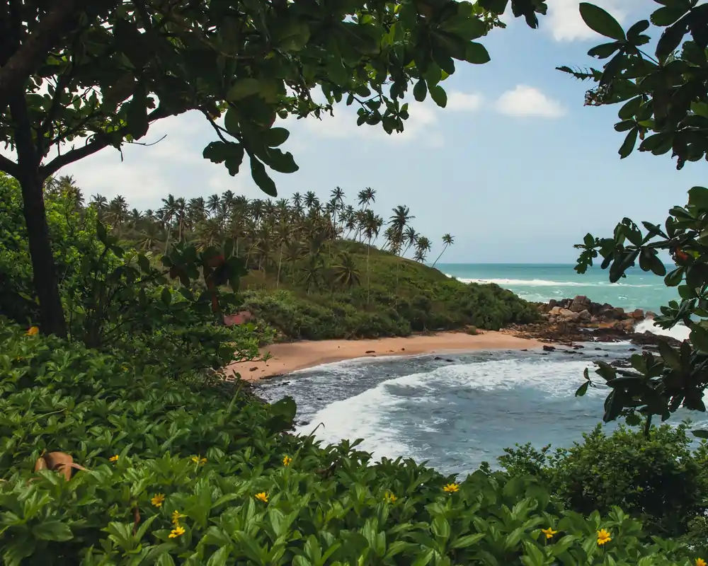 mariam g epED8MPIJM8 unsplash