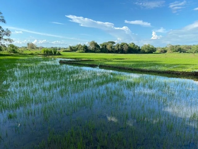 shamal sandeep 3f8U6xz 1Lk unsplash