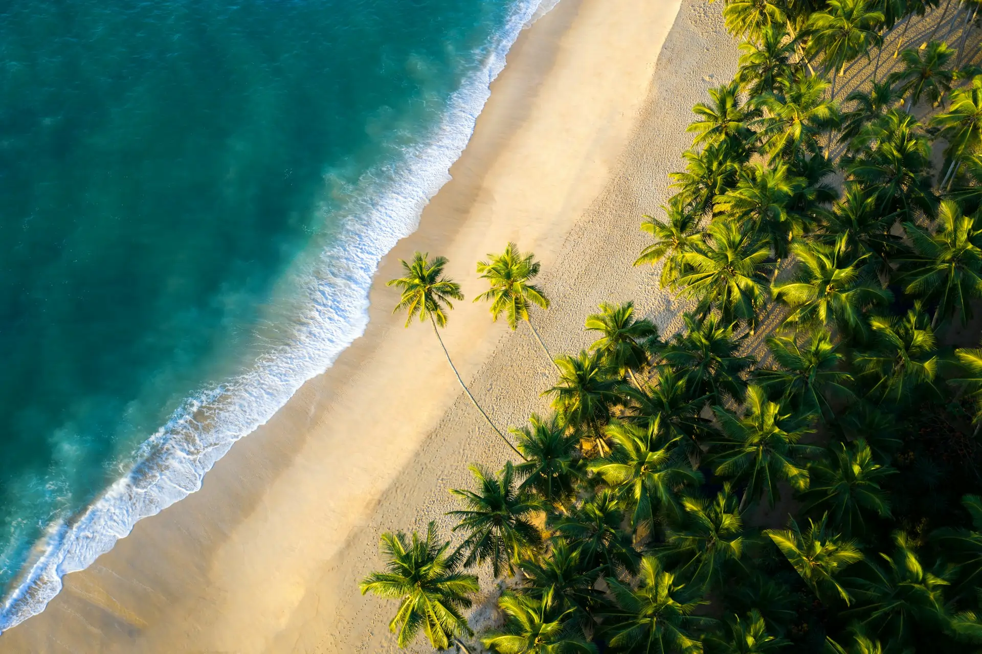 amal prasad ztFkvmLKTcY unsplash