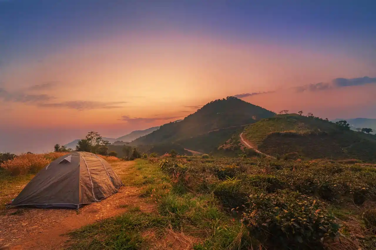 pexels ninh tien dat 393934339 33315922