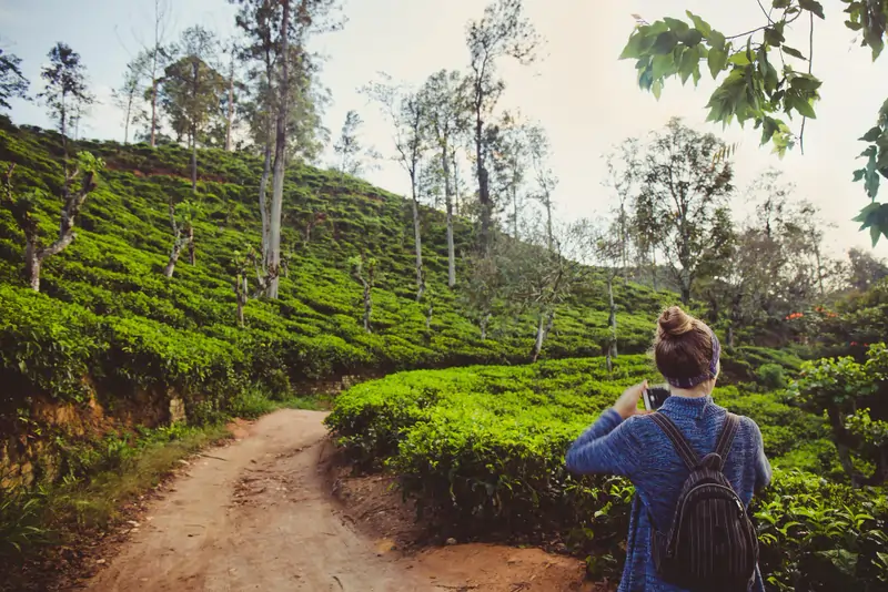 pekoe trail is the longest hiking trail in Sri Lanka.