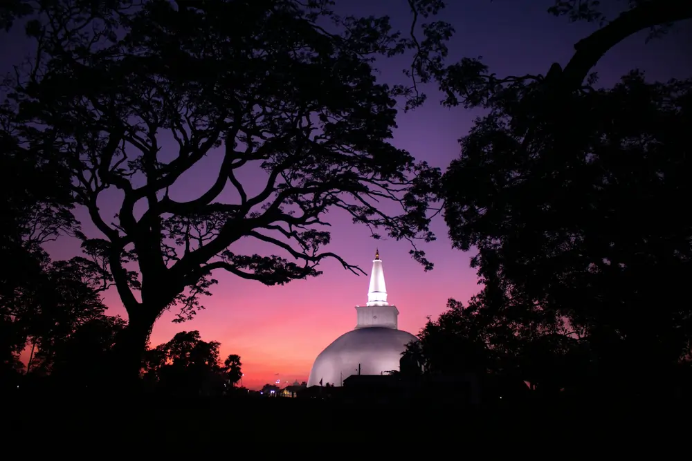chathura anuradha subasinghe M4yPHONK58 unsplash