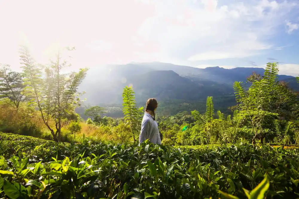 First Time in Sri Lanka would probably feel like an adventure.