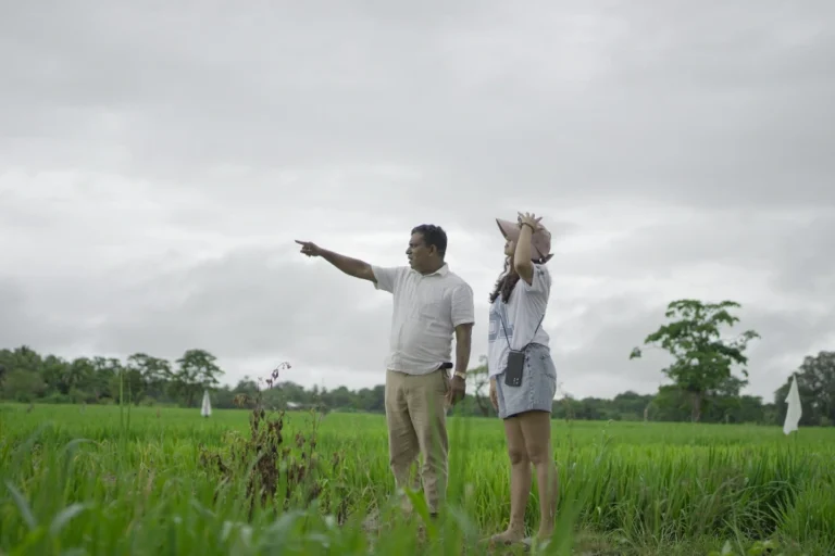 Sri Lanka guided tours open up the opportunity to explore more of the island.