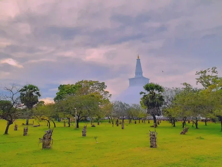 Explore the layered traditions, temples and festivals that define Sri Lankan culture